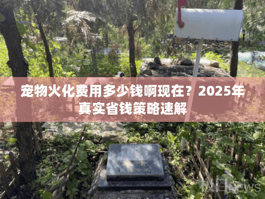 宠物火化费用多少钱啊现在？2025年真实省钱策略速解