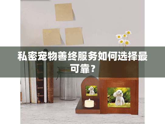 私密宠物善终服务如何选择最可靠？