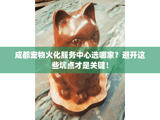 成都宠物火化服务中心选哪家?避开这些坑点才是关键! 成都宠物火化服务中心选哪家?避开这些坑点才是关键!