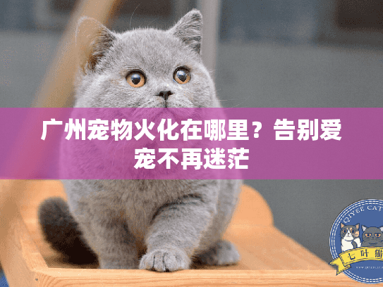 广州宠物火化在哪里？告别爱宠不再迷茫