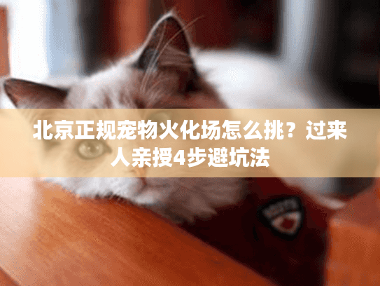 北京正规宠物火化场怎么挑？过来人亲授4步避坑法