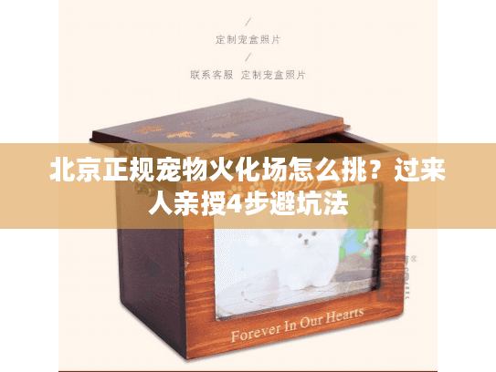 北京正规宠物火化场怎么挑？过来人亲授4步避坑法