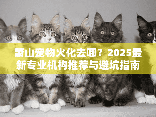 萧山宠物火化去哪？2025最新专业机构推荐与避坑指南