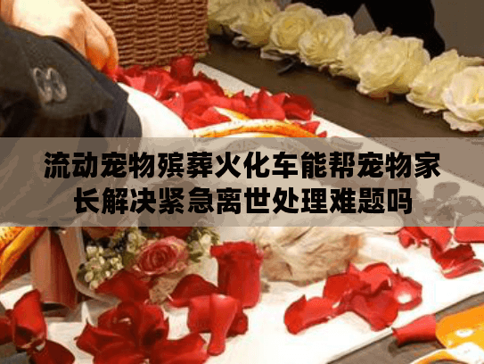 流动宠物殡葬火化车能帮宠物家长解决紧急离世处理难题吗