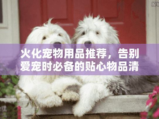 火化宠物用品推荐，告别爱宠时必备的贴心物品清单
