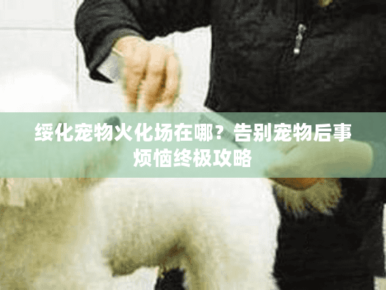 绥化宠物火化场在哪？告别宠物后事烦恼终极攻略