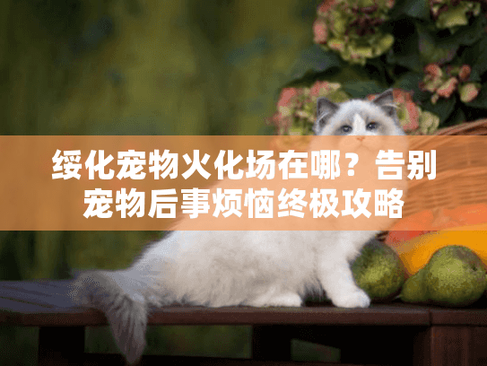 绥化宠物火化场在哪？告别宠物后事烦恼终极攻略