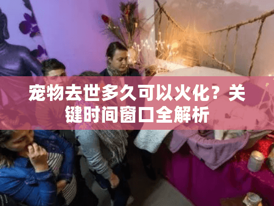 宠物去世多久可以火化？关键时间窗口全解析