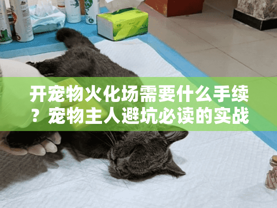 开宠物火化场需要什么手续？宠物主人避坑必读的实战秘籍