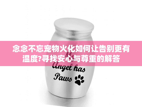 念念不忘宠物火化如何让告别更有温度?寻找安心与尊重的解答