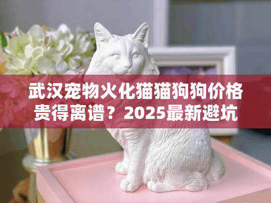 武汉宠物火化猫猫狗狗价格贵得离谱?2025最新避坑省钱全攻略 武汉宠物火化猫猫狗狗价格贵得离谱?2025最新避坑省钱全攻略