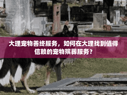 大理宠物善终服务，如何在大理找到值得信赖的宠物殡葬服务？