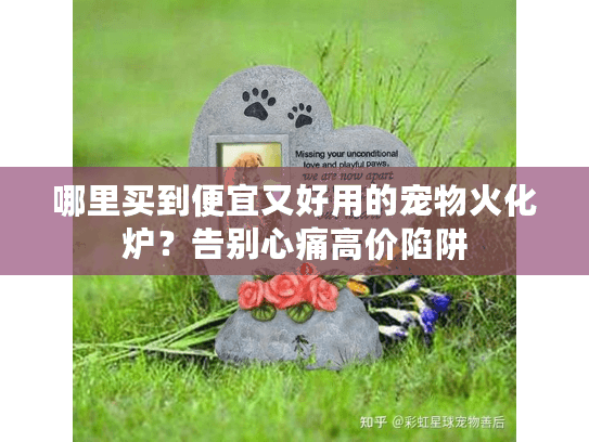 哪里买到便宜又好用的宠物火化炉？告别心痛高价陷阱