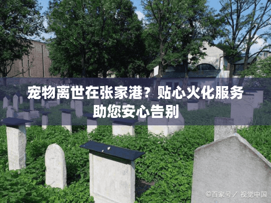 宠物离世在张家港？贴心火化服务助您安心告别