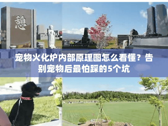宠物火化炉内部原理图怎么看懂？告别宠物后最怕踩的5个坑
