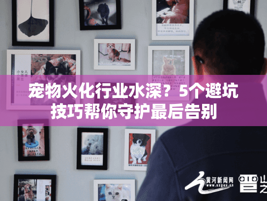宠物火化行业水深?5个避坑技巧帮你守护最后告别 宠物火化行业水深?5个避坑技巧帮你守护最后告别