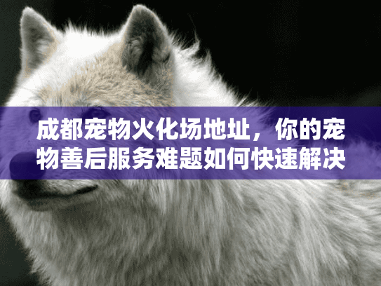 成都宠物火化场地址，你的宠物善后服务难题如何快速解决？
