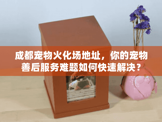 成都宠物火化场地址，你的宠物善后服务难题如何快速解决？