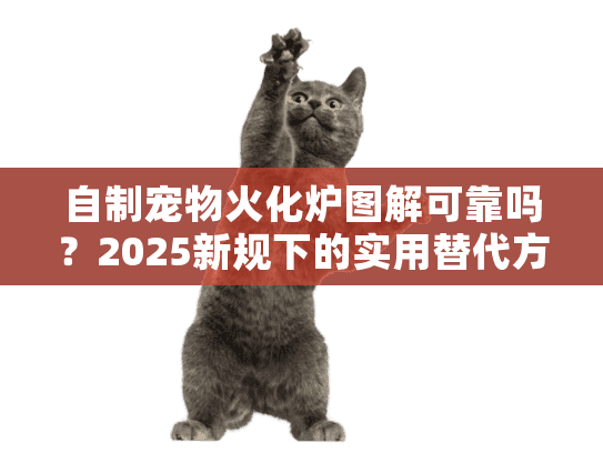 自制宠物火化炉图解可靠吗？2025新规下的实用替代方案