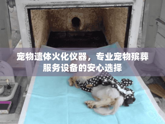 宠物遗体火化仪器，专业宠物殡葬服务设备的安心选择