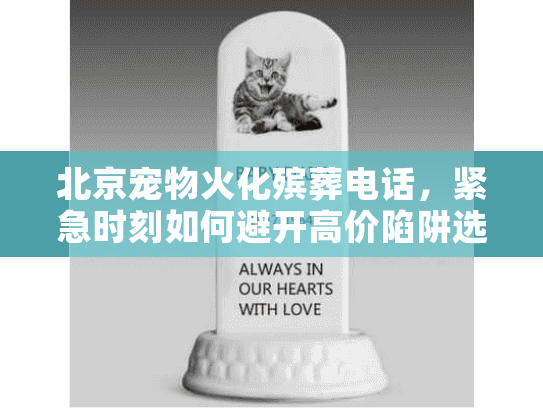 北京宠物火化殡葬电话，紧急时刻如何避开高价陷阱选到安心服务？