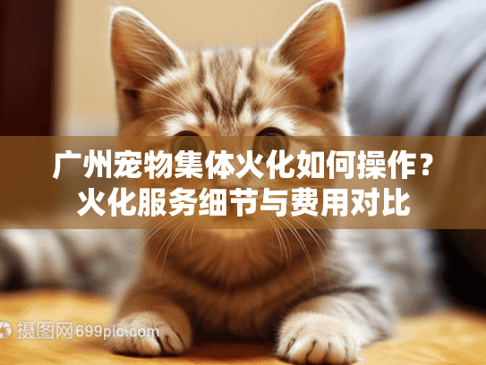 广州宠物集体火化如何操作？火化服务细节与费用对比
