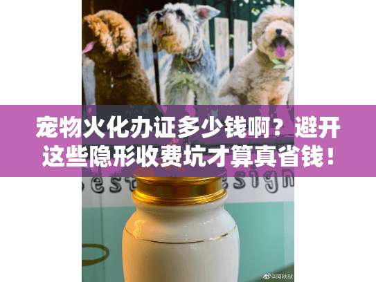 宠物火化办证多少钱啊？避开这些隐形收费坑才算真省钱！