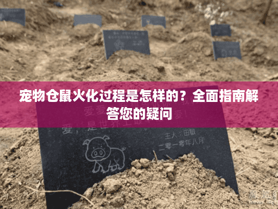 宠物仓鼠火化过程是怎样的？全面指南解答您的疑问