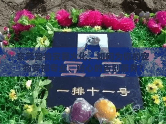 东莞宠物安葬火化，如何为你的宠物安排专业、贴心的告别服务？