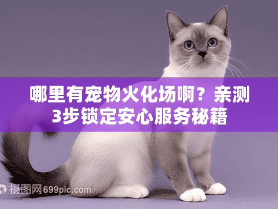 哪里有宠物火化场啊？亲测3步锁定安心服务秘籍