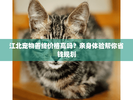 江北宠物善终价格高吗？亲身体验帮你省钱规划