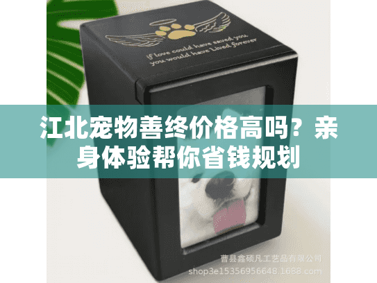 江北宠物善终价格高吗？亲身体验帮你省钱规划