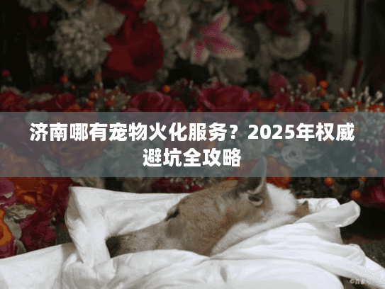 济南哪有宠物火化服务？2025年权威避坑全攻略