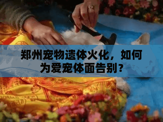 郑州宠物遗体火化，如何为爱宠体面告别？