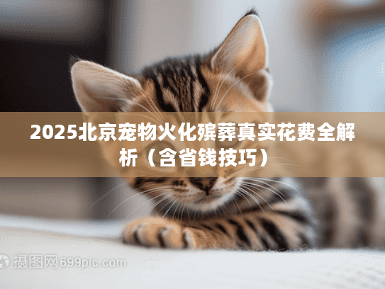 2025北京宠物火化殡葬真实花费全解析(含省钱技巧) 2025北京宠物火化殡葬真实花费全解析(含省钱技巧)