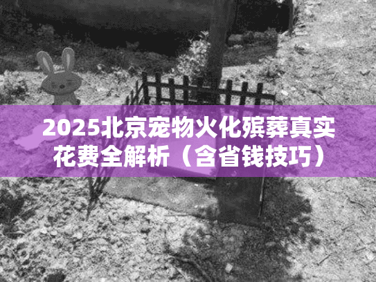 2025北京宠物火化殡葬真实花费全解析(含省钱技巧) 2025北京宠物火化殡葬真实花费全解析(含省钱技巧)