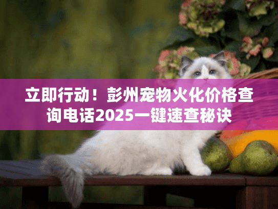 立即行动！彭州宠物火化价格查询电话2025一键速查秘诀