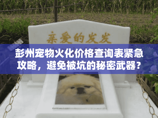 彭州宠物火化价格查询表紧急攻略，避免被坑的秘密武器？