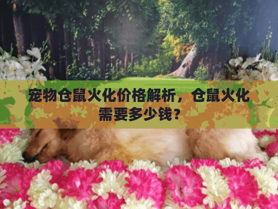 宠物仓鼠火化价格解析，仓鼠火化需要多少钱？