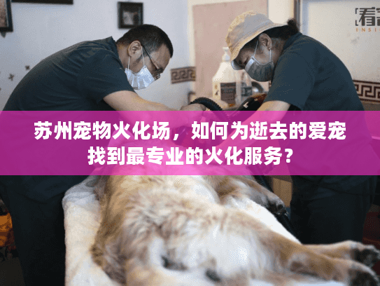 苏州宠物火化场，如何为逝去的爱宠找到最专业的火化服务？