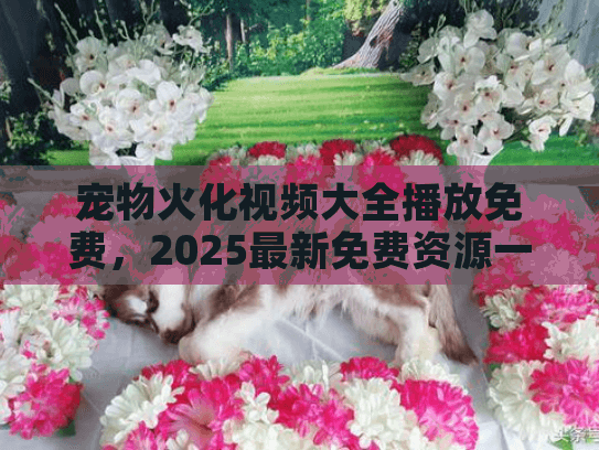 宠物火化视频大全播放免费，2025最新免费资源一键获取指南