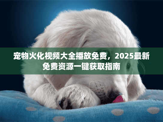 宠物火化视频大全播放免费，2025最新免费资源一键获取指南