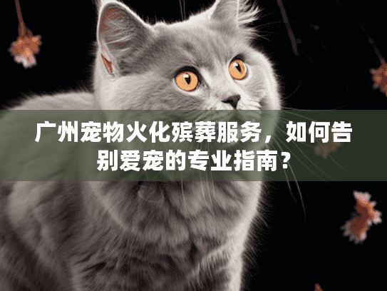 广州宠物火化殡葬服务，如何告别爱宠的专业指南？