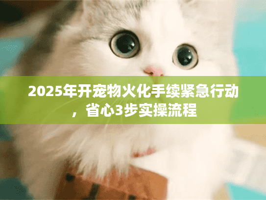 2025年开宠物火化手续紧急行动,省心3步实操流程 2025年开宠物火化手续紧急行动,省心3步实操流程