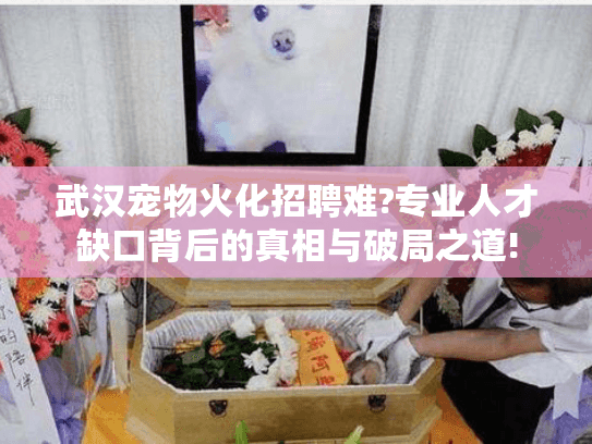 武汉宠物火化招聘难?专业人才缺口背后的真相与破局之道!