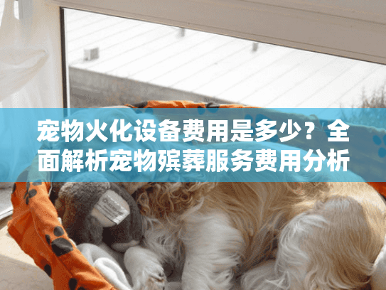 宠物火化设备费用是多少？全面解析宠物殡葬服务费用分析