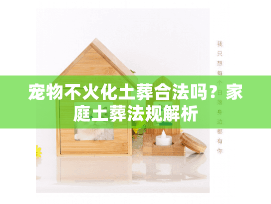 宠物不火化土葬合法吗？家庭土葬法规解析