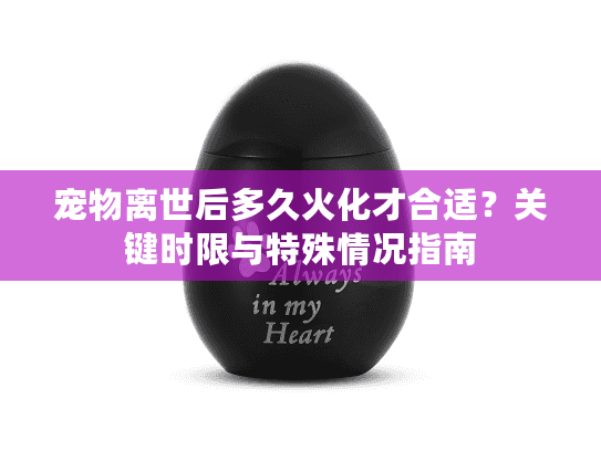 宠物离世后多久火化才合适？关键时限与特殊情况指南