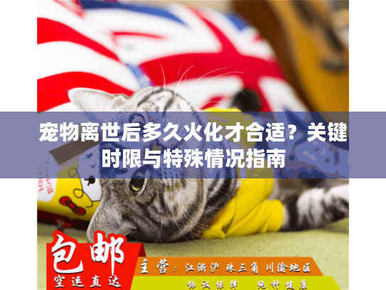 宠物离世后多久火化才合适？关键时限与特殊情况指南