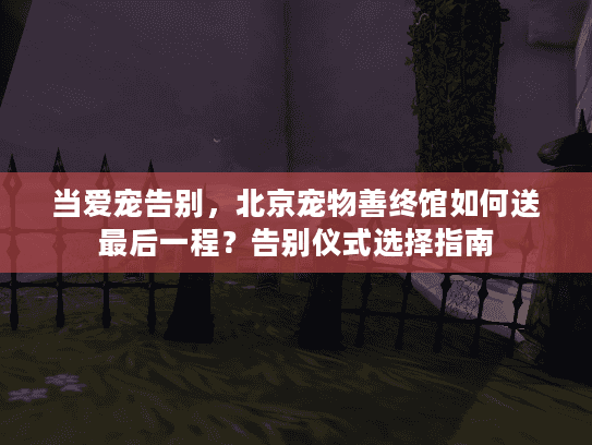 当爱宠告别，北京宠物善终馆如何送最后一程？告别仪式选择指南